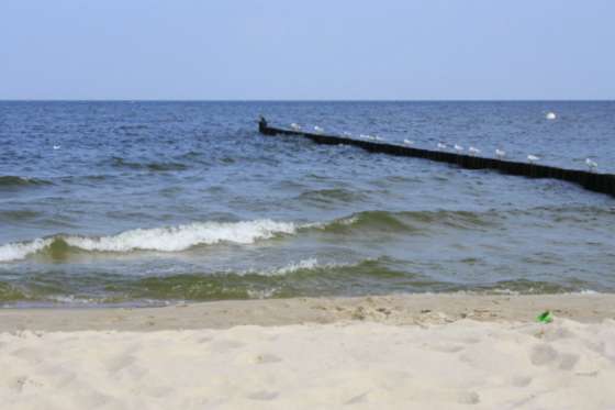 Zempin: Strand und Meer