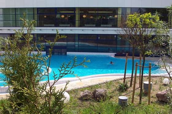 Bernsteintherme Auusenbecken