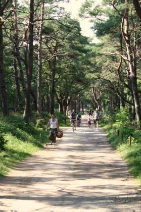 Radweg in Zinnowitz